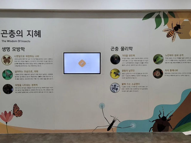 경상북도 상주시 곤충 생태 전시관 입니다.