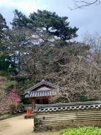 碧テラス〜ニュー八景園〜熱海梅園