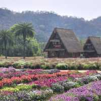 Hokkaido Flower Park Khaoyai