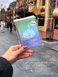 上海ディズニーランドでやりたいことリスト