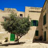 The charming Mdina 