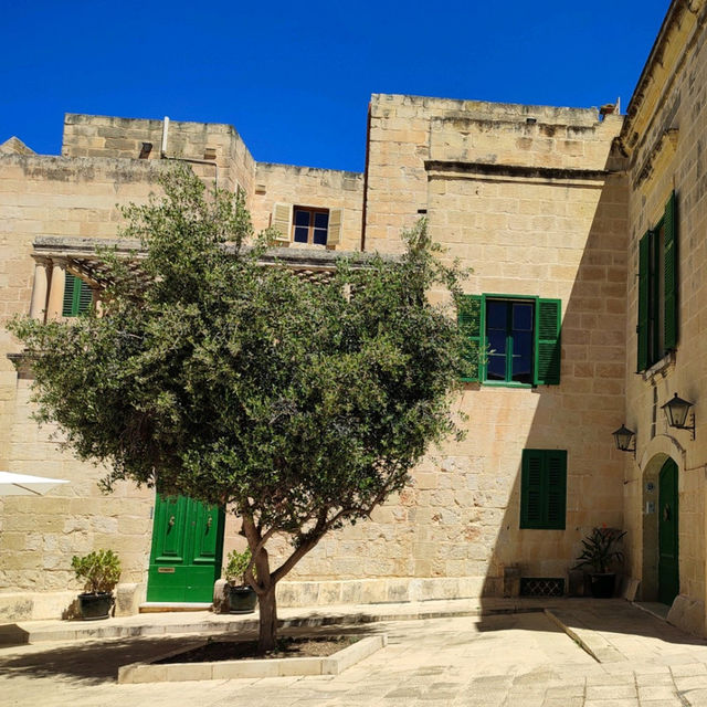 The charming Mdina 
