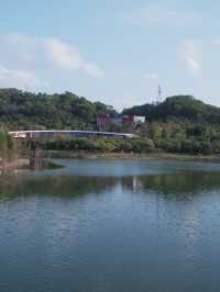 深圳免費公園｜光明虹橋超出片