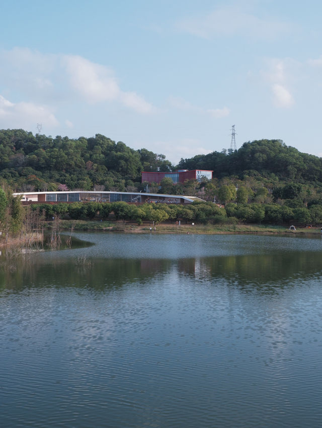 深圳免費公園｜光明虹橋超出片