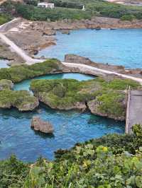 日本庭園を彷彿とさせる独特な世界観