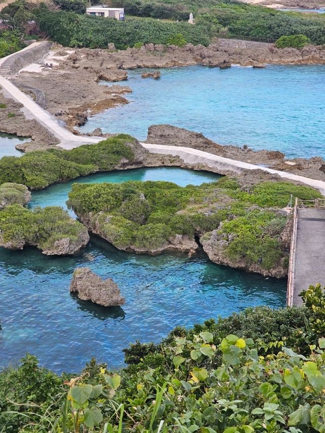 日本庭園を彷彿とさせる独特な世界観
