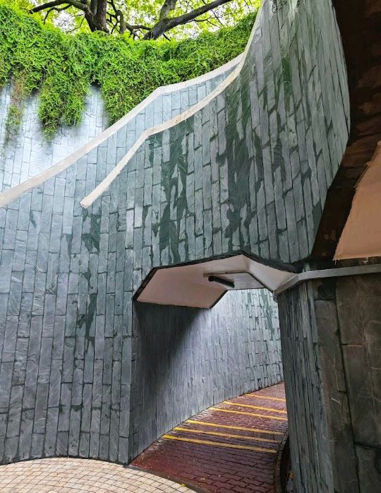 Fort Canning Tree Tunnel