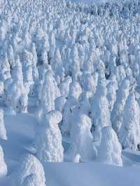 ไปสัมผัสความหนาวที่ญี่ปุ่นเดือนกุมภาพันธ์