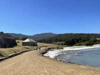 塔斯馬尼亞  瑪麗亞島旅遊全攻略：野生動物天堂與世界遺產秘境