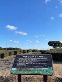💗🍐제주 서쪽 가볼만한 곳 오설록 티뮤지엄 