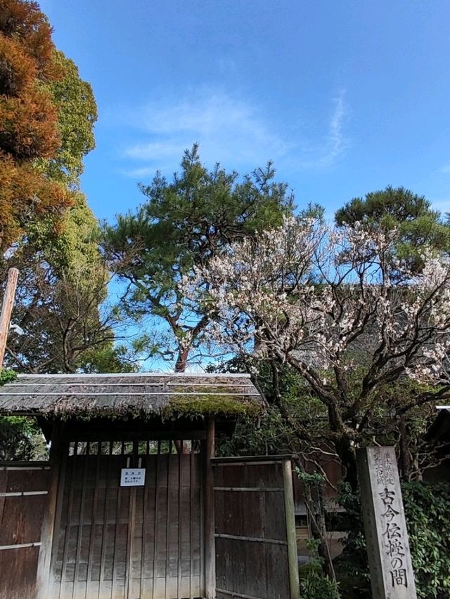 精緻巧妙造景的水前寺成趣園