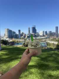 Kings Park Adventure: Nature, Views & Culture