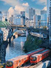 Trip to Tokyo, Japan 🇯🇵 