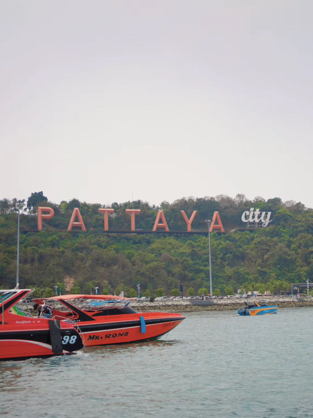 1 วันที่เกาะล้าน - ไปดูห่านเล่นน้ำที่หาดนวล