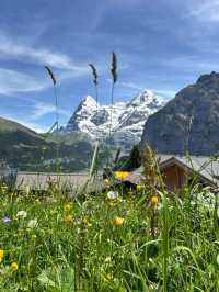 Swiss Alps: A Trekker's Paradise