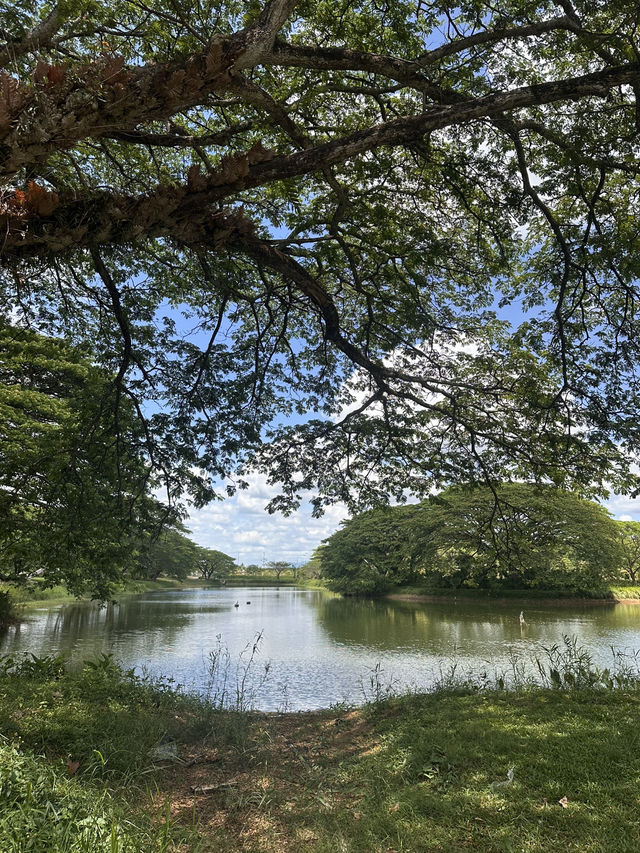Beautiful wildlife sanctuary 