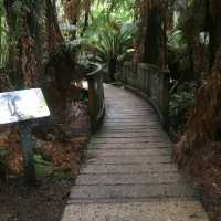 Great Otway National Park
