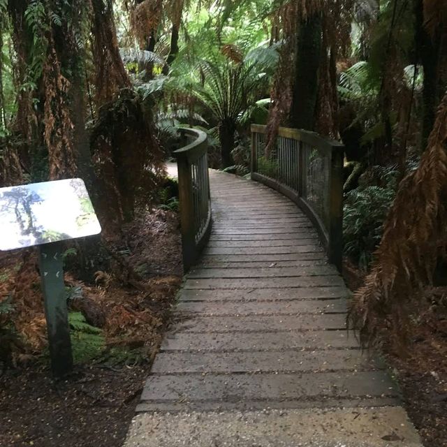 Great Otway National Park