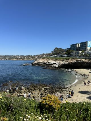 前往聖地牙哥的完美方式！美國西部最悠閒的城市