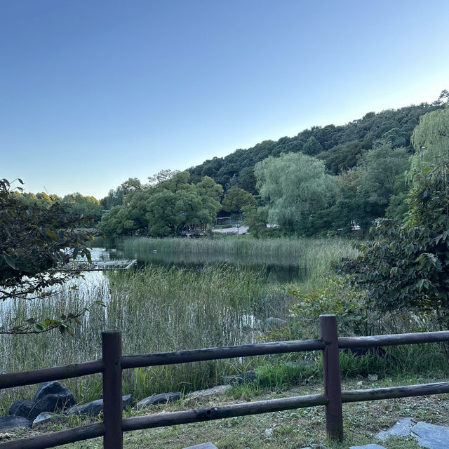 【ソウル】🇰🇷 ボラメ公園