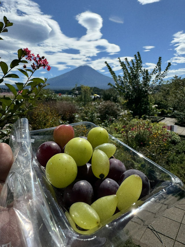 Breathtakingly beautiful day near Mount Fuji 