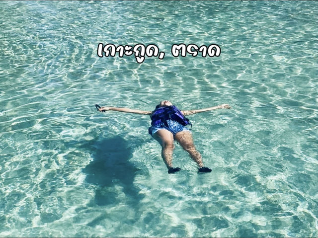 ดำน้ำดูปะการังเกาะกูด—ใต้ทะเลที่สวยจนหยุดหายใจ