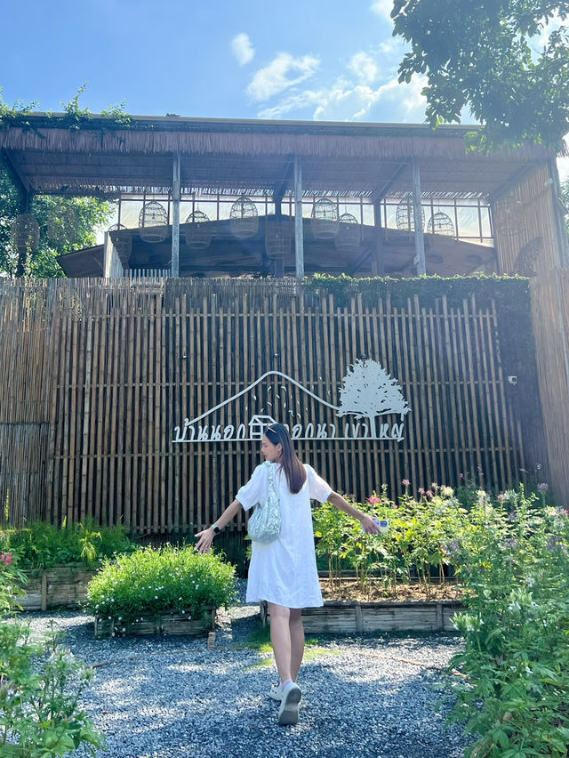 คาเฟ่เขาใหญ่ ☕️