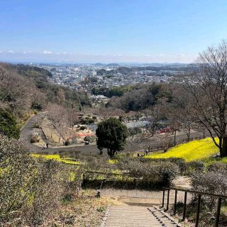 Kanezawa Park (金沢公園)