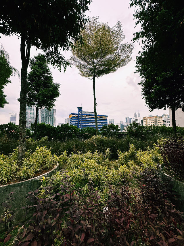 A Serene Escape Above the City