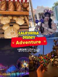 LA旅行必見🇺🇸✈️カリフォルニアディズニー攻略✨