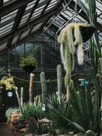 Glasgow Botanic Gardens: A Green Oasis in the City