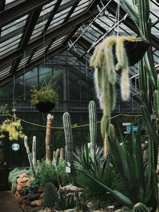 Glasgow Botanic Gardens: A Green Oasis in the City