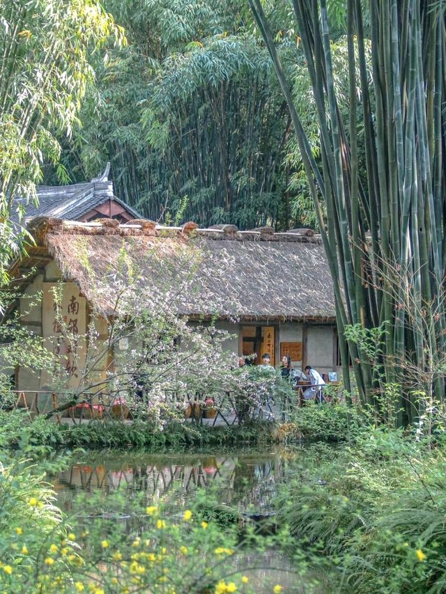 Chill by the Lake in Chengdu