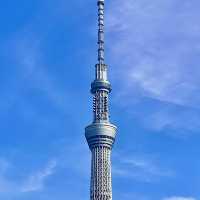 東京晴空塔～淺草一日遊