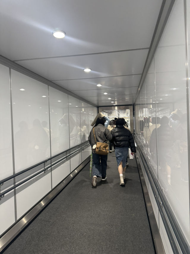 🇯🇵구마몬의 도시