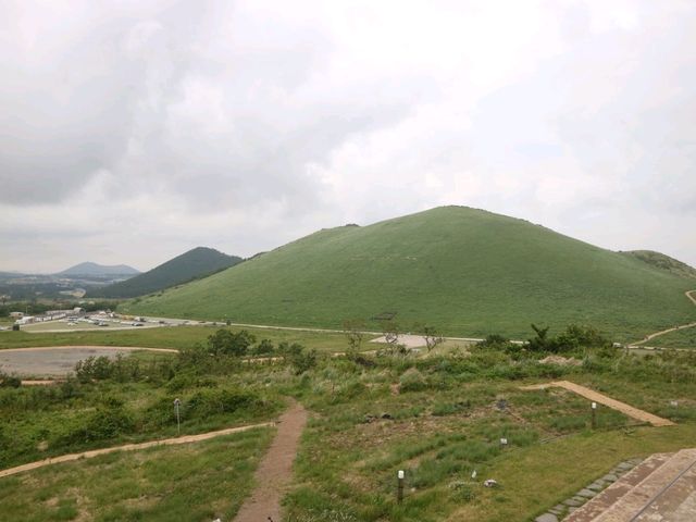 새별오름뷰 카페 새빌
