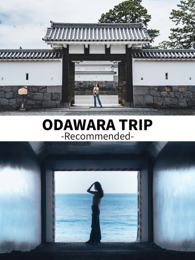 小田原旅プラン｜完全攻略