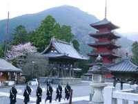 【山梨県】日蓮宗の総本山！樹齢400年の枝垂れ桜が圧巻の「身延山久遠寺」