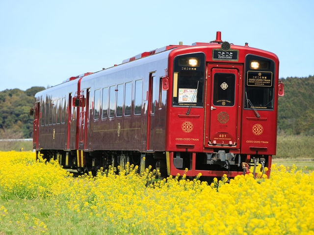 Chasing Sakura on the Coto Coto Train