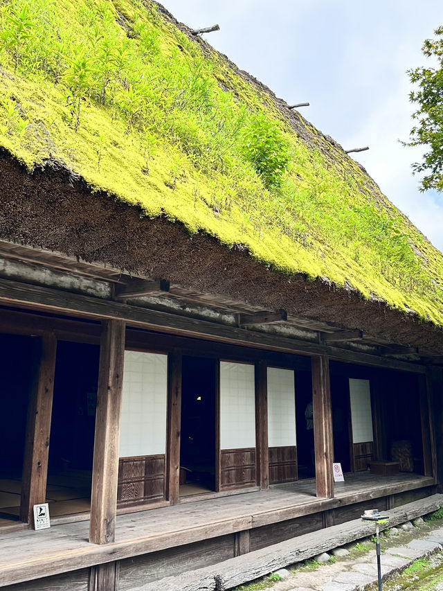 まるでタイムスリップ✨下呂温泉合掌村で日本の原風景を満喫！