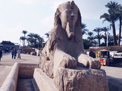 🏜️ エジプト🇪🇬ギザのピラミッド – 迫力満点！世界遺産の大