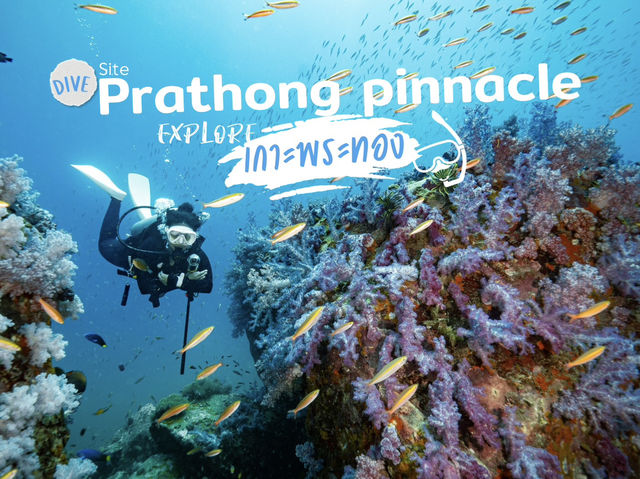 สำรวจ Dive site เกาะพระทอง