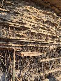 Changsha 4 Days Itinerary
