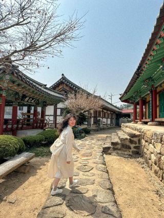 A place where you can see various spring flowers for free.