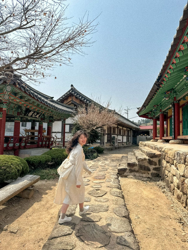 무료로 다양한 봄꽃을 볼 수 있는 곳