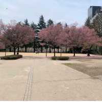 錦町公園