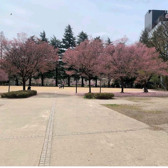 錦町公園