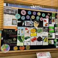 地風的採買店雜貨店 松の実