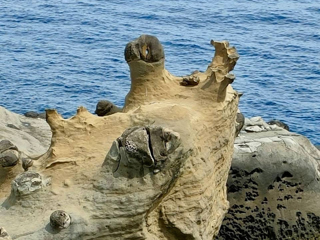 和平島地質公園ㄧ日放風看海