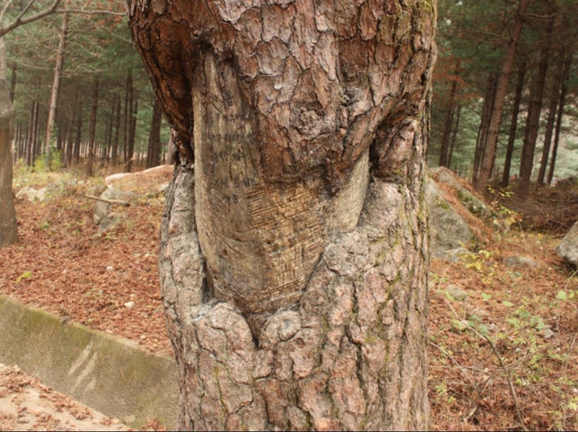 문경새재